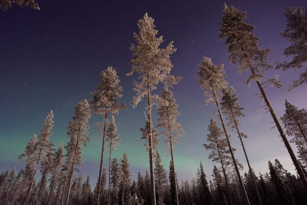 Northern Lights in Lapland